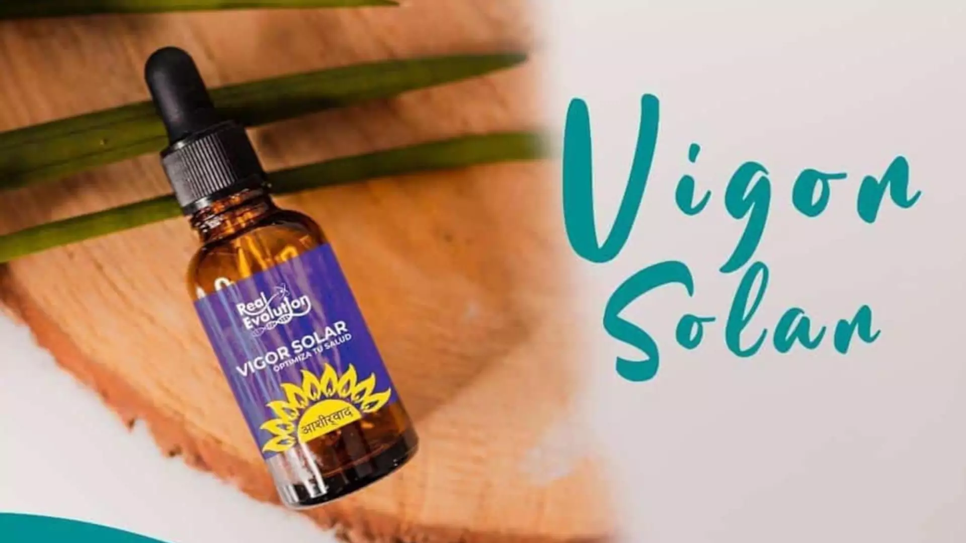 vigor solar la revolucion de la medicina natural 01