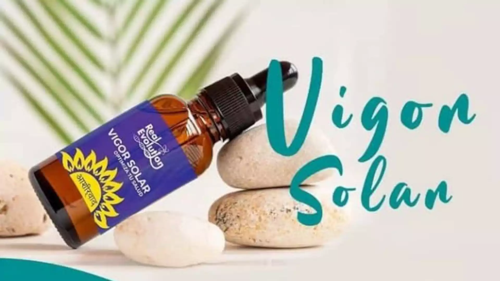 vigor solar la revolucion de la medicina natural 05