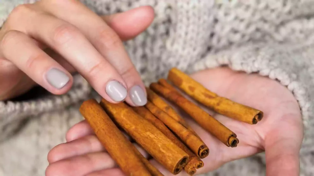 Hierbas Medicinales dentro del Vigor Solar 6 varias ramas de canela sostenidas por la mano de una mujer joven