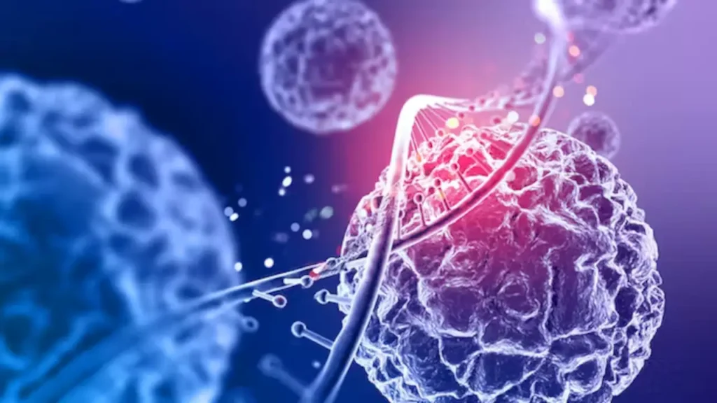 Los Beneficios de La Damiana: Una Hierba Afrodisíaca que Mejorará tu Salud en todos los Ámbitos 4 beneficios de la damiana 03