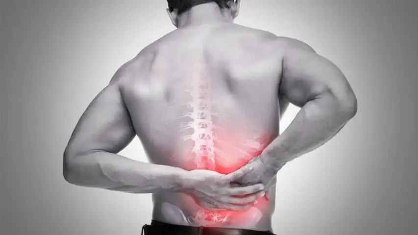 auriculoterapia vigorosamente 11