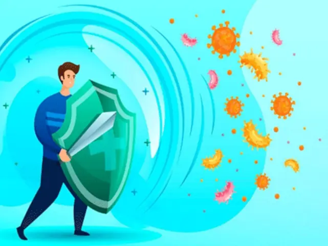 Tongkat ali vigorosamente 08