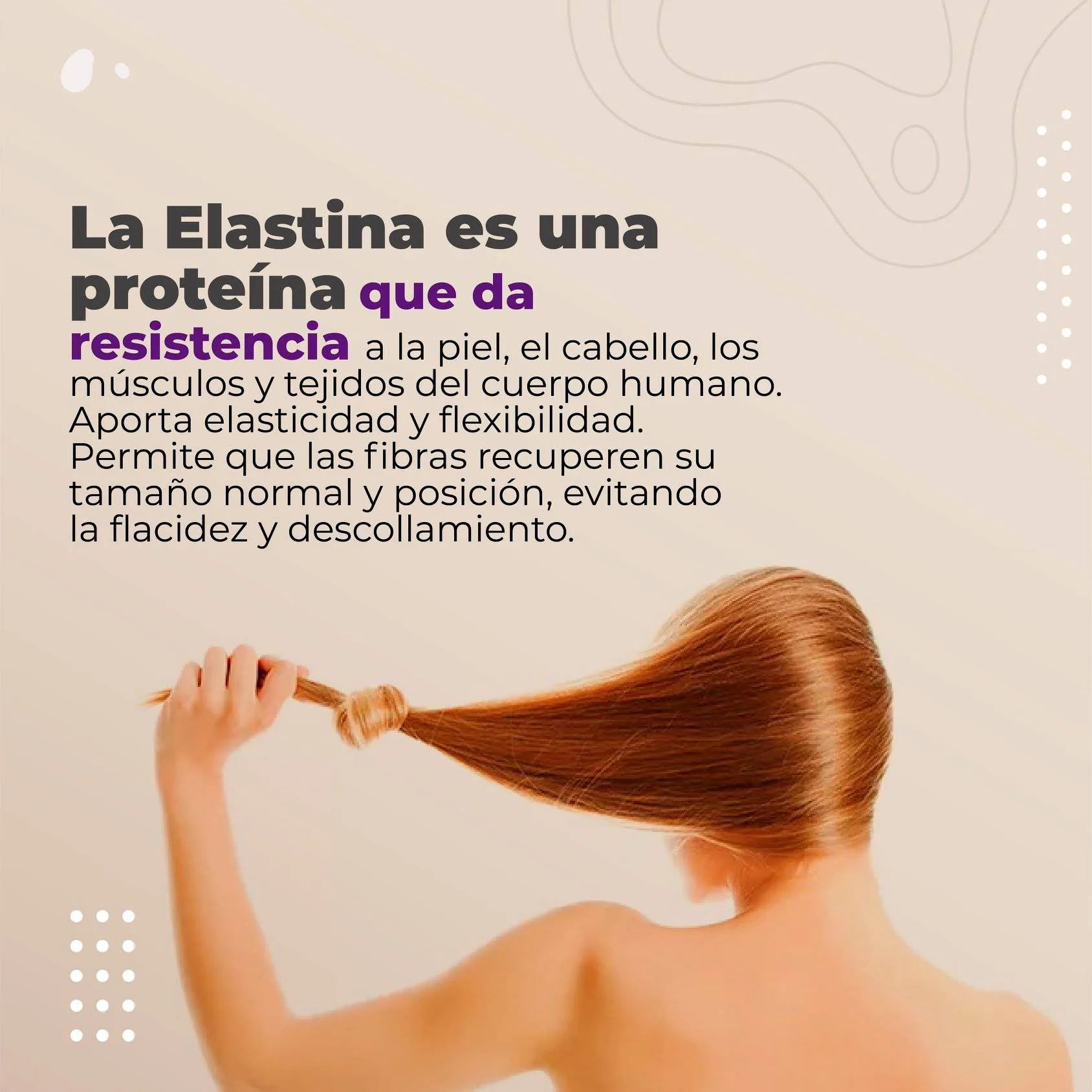 Colágeno en Polvo + Resveratrol + Elastina 4 Colágeno en Polvo + Resveratrol + Elastina - Imagen 4