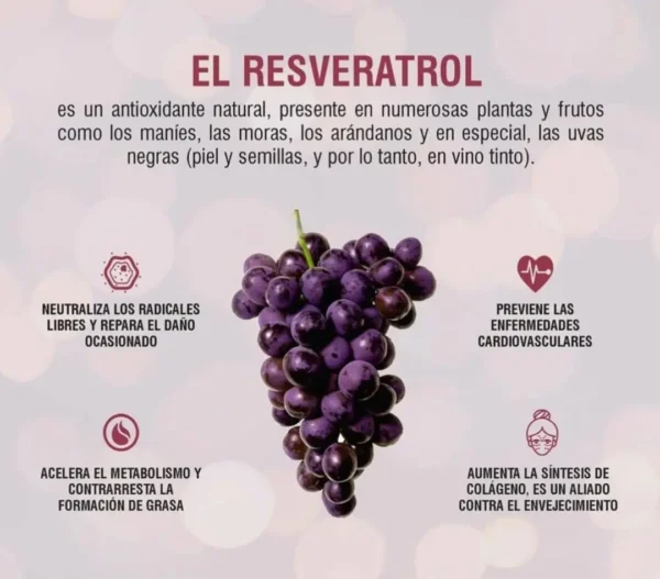 Resveraplant | Trans Resveratrol 500mg - Imagen 3