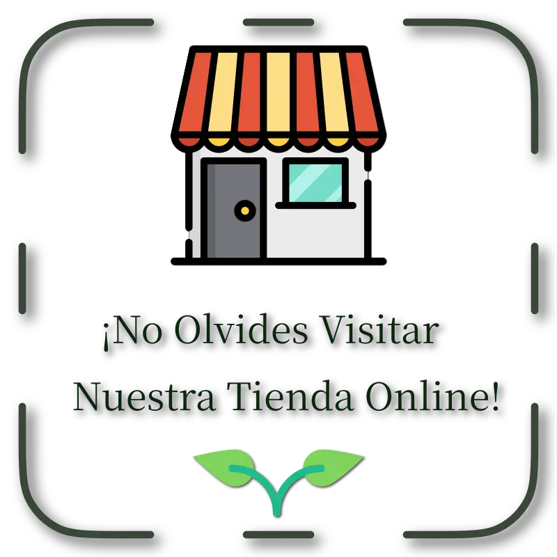 Visita Nuestra Tienda