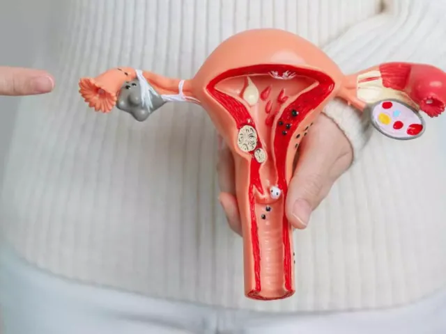 Centella Asiatica 02