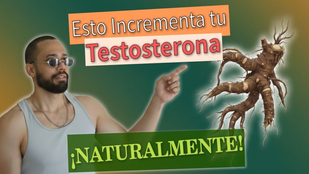 Ginseng Siberiano ¿El Secreto para aumentar la Testosterona? 7 Ginseng Siberiano ¿El Secreto para aumentar la Testosterona?