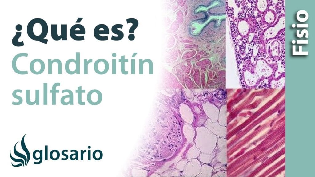 condroitina