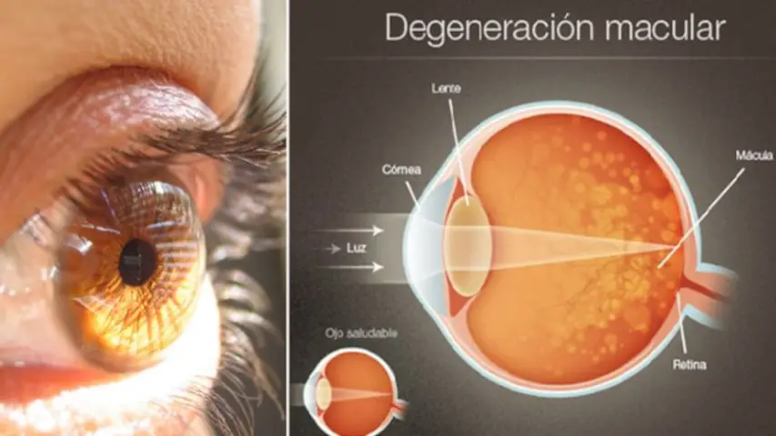 centrum-silver-protege-tu-vista-03 centrum silver cuidado de la vista