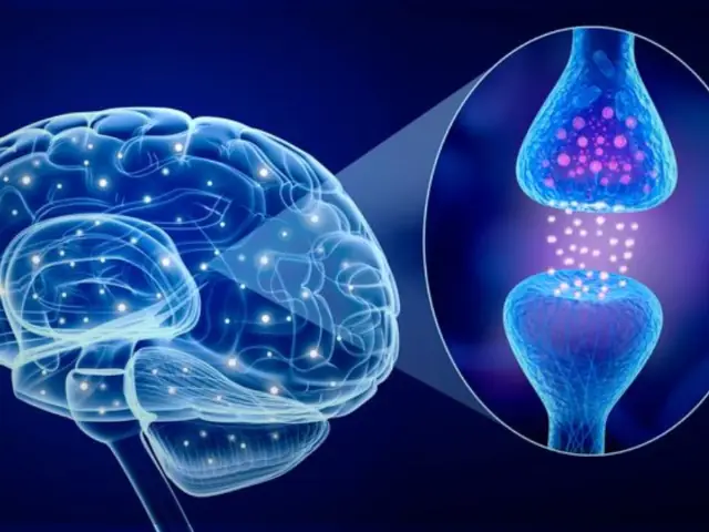 ginseng-siberiano-cansancio-mental-02 ginseng siberiano cansancio mental