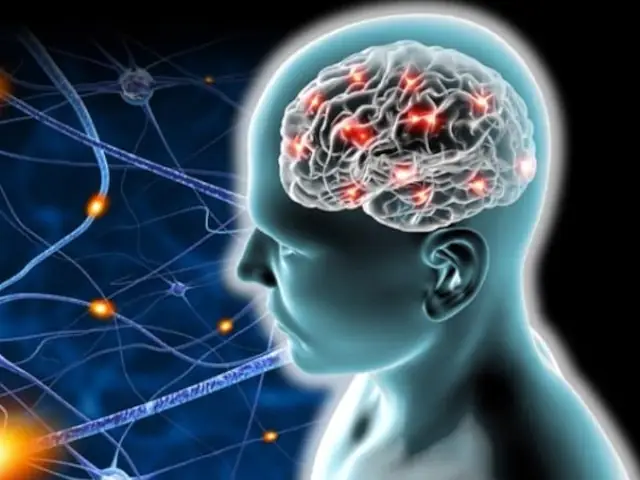 ginseng-siberiano-cansancio-mental-03 ginseng siberiano cansancio mental